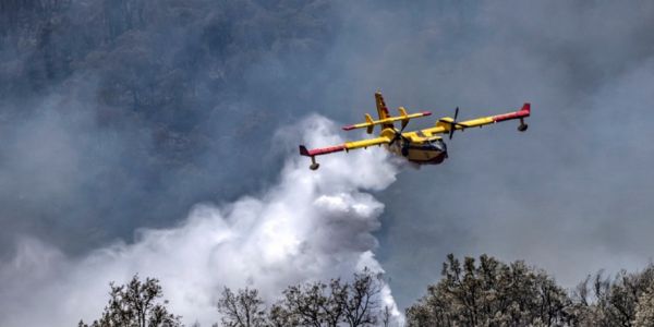 العافية شعلات فغابات نواحي خنيفرة.. كلات حوالي 200 هكتار ومجهودات فرق الإطفاء متواصلة فالمنطقة